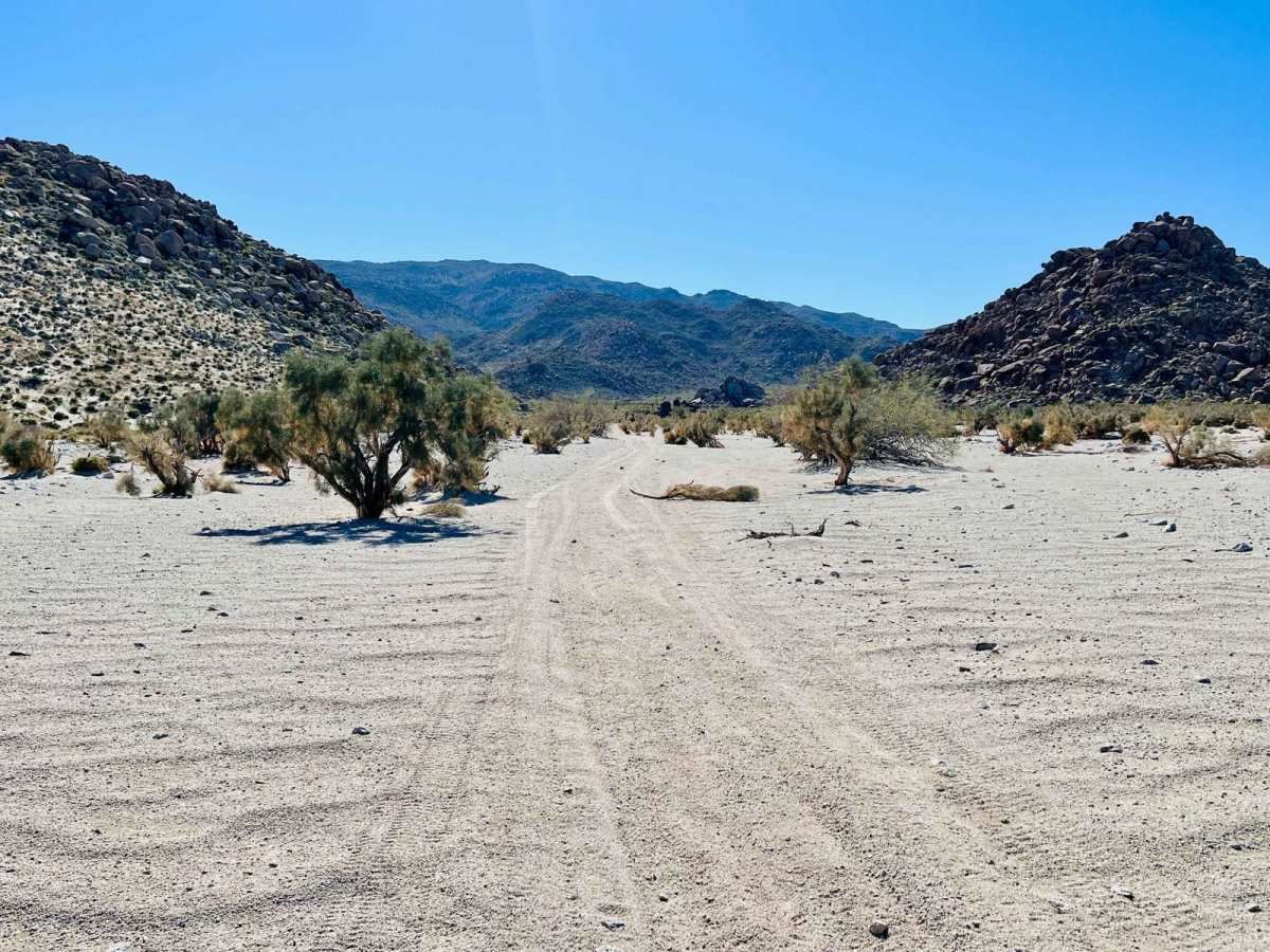 Hayden Springs trail photo