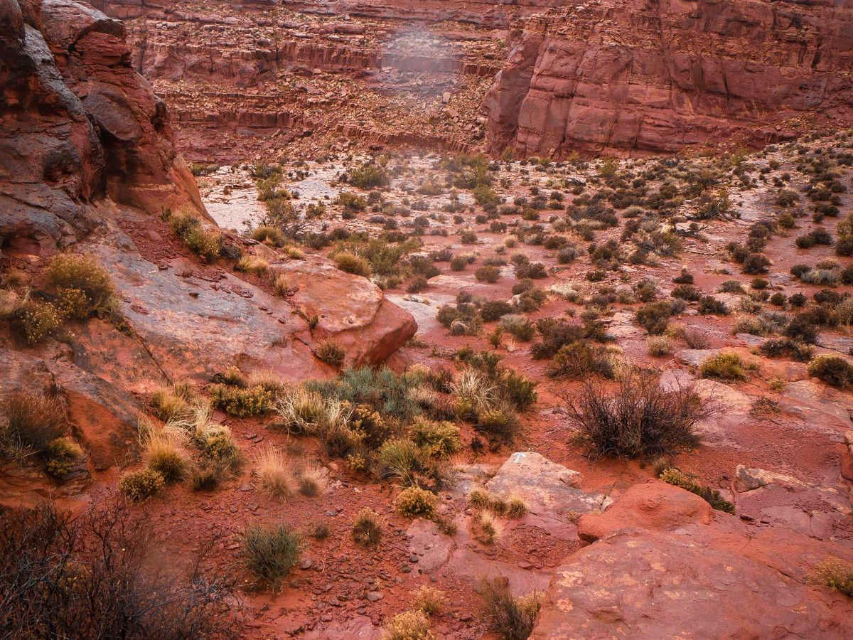Rock Rim Single Track trail photo