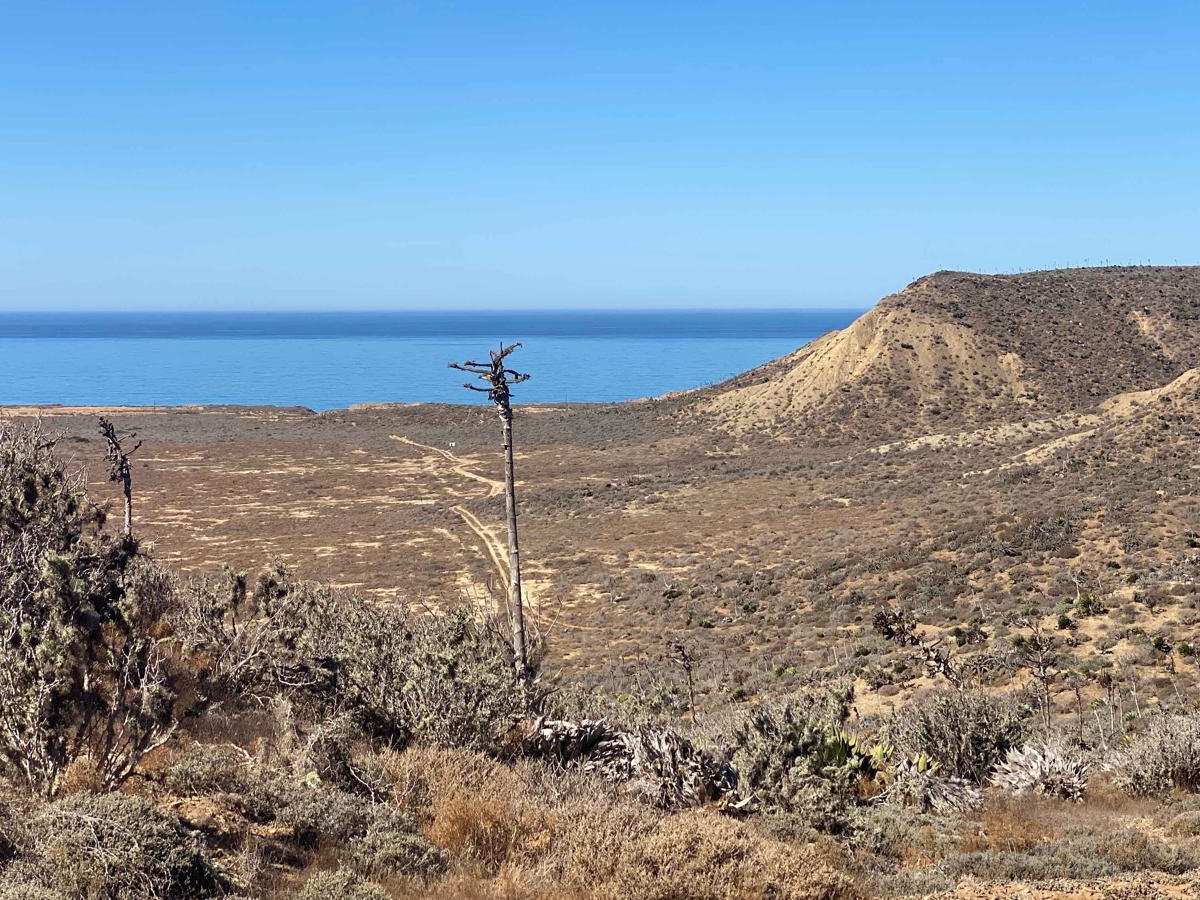 Valle Tranquilo trail photo
