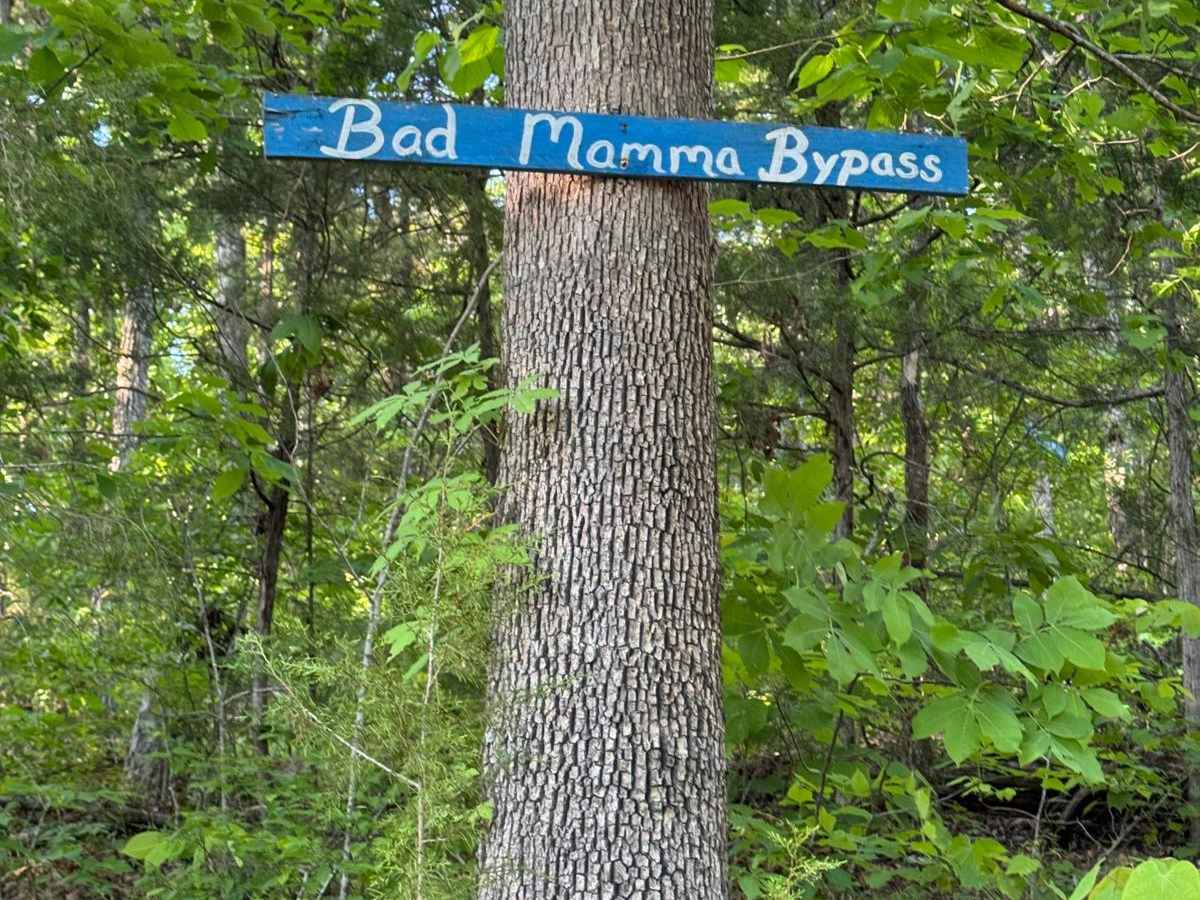 Bad Mamma Bypass trail photo