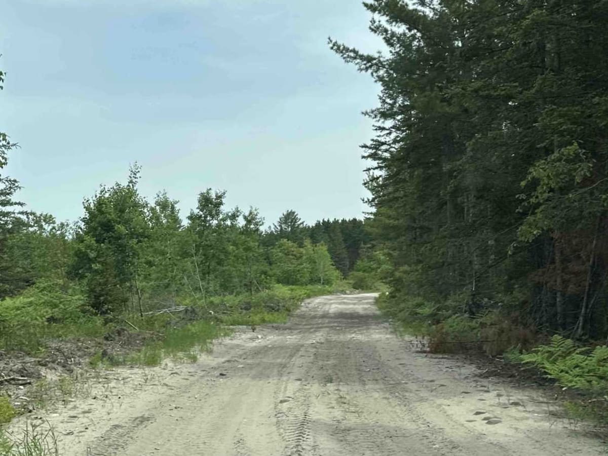 Brevoort River trail photo