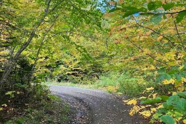 Cape Mabou Road