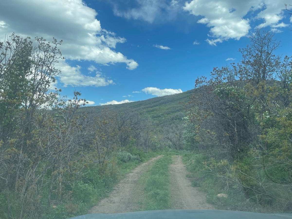 Light Hill Road photo 4