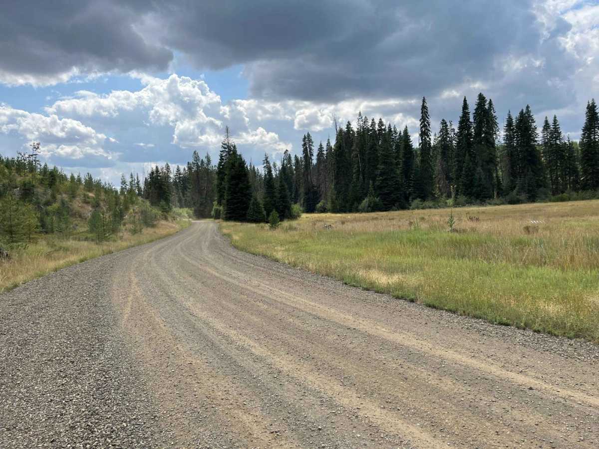Big Creek Road - FS 370 photo 3