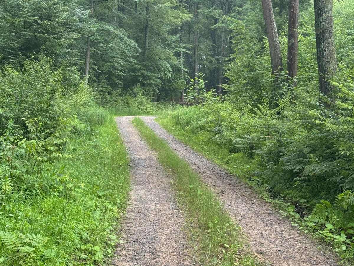 Fork Hill Road photo 5