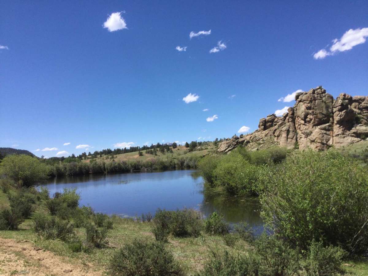 Castle Rock Gulch Road (188) photo 6