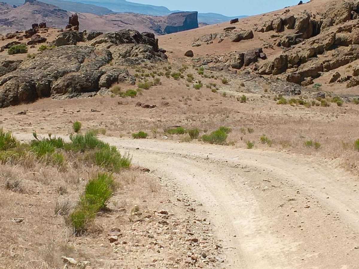 Honeycomb Wilderness Trail photo 4