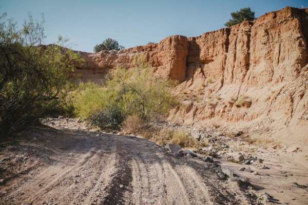 Cottonwood Loop #509