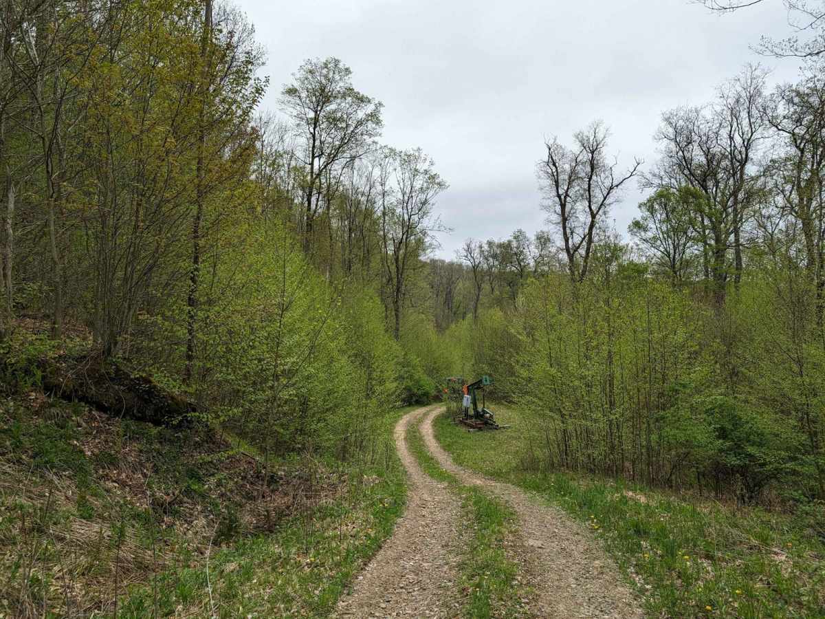 Kinmeade trail photo