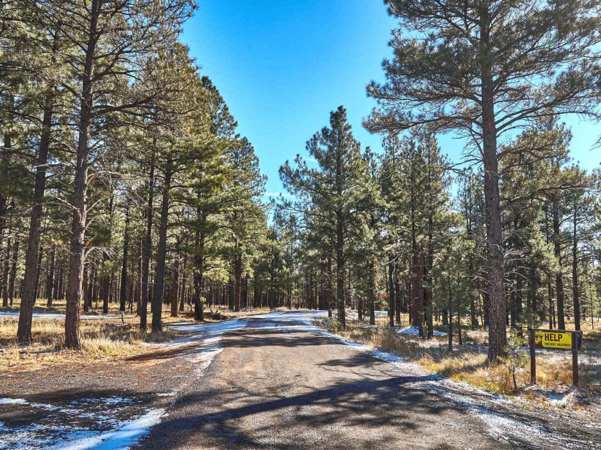 FR 2082 trail photo