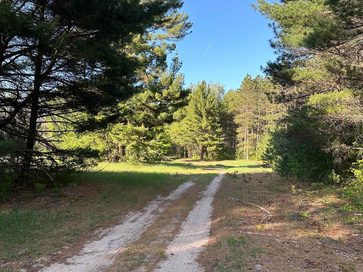 Pine Road photo 4