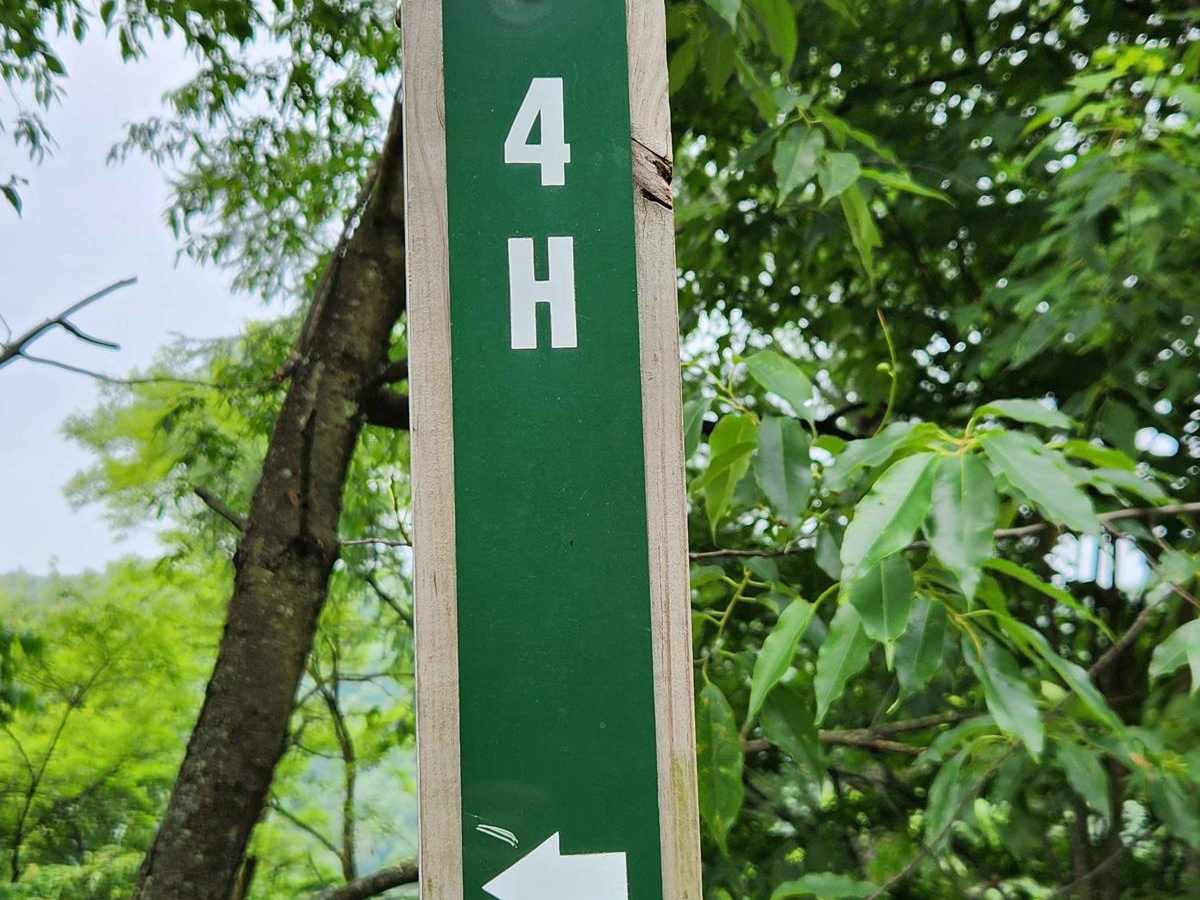 Trail 4H - Rock Run Recreation Area trail photo