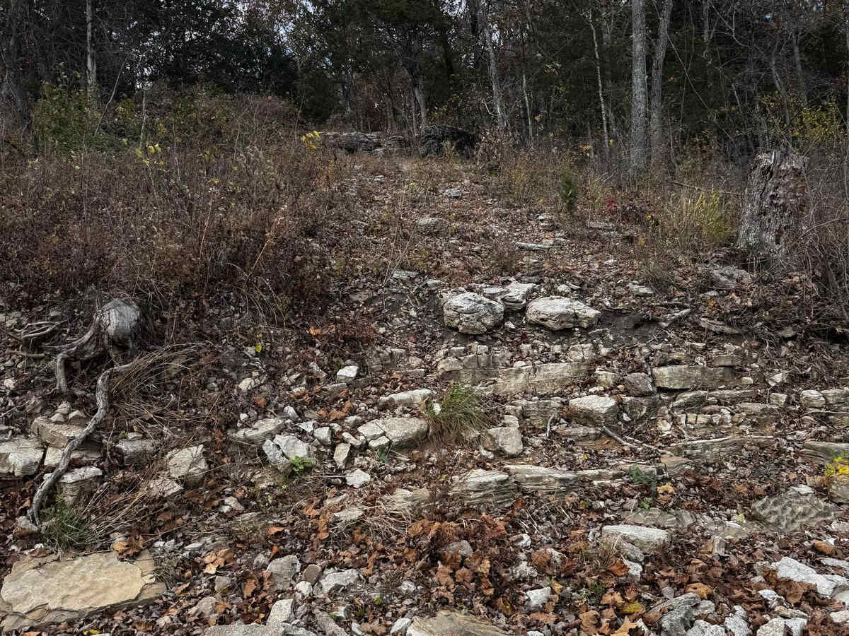 Tim's Hill photo 5