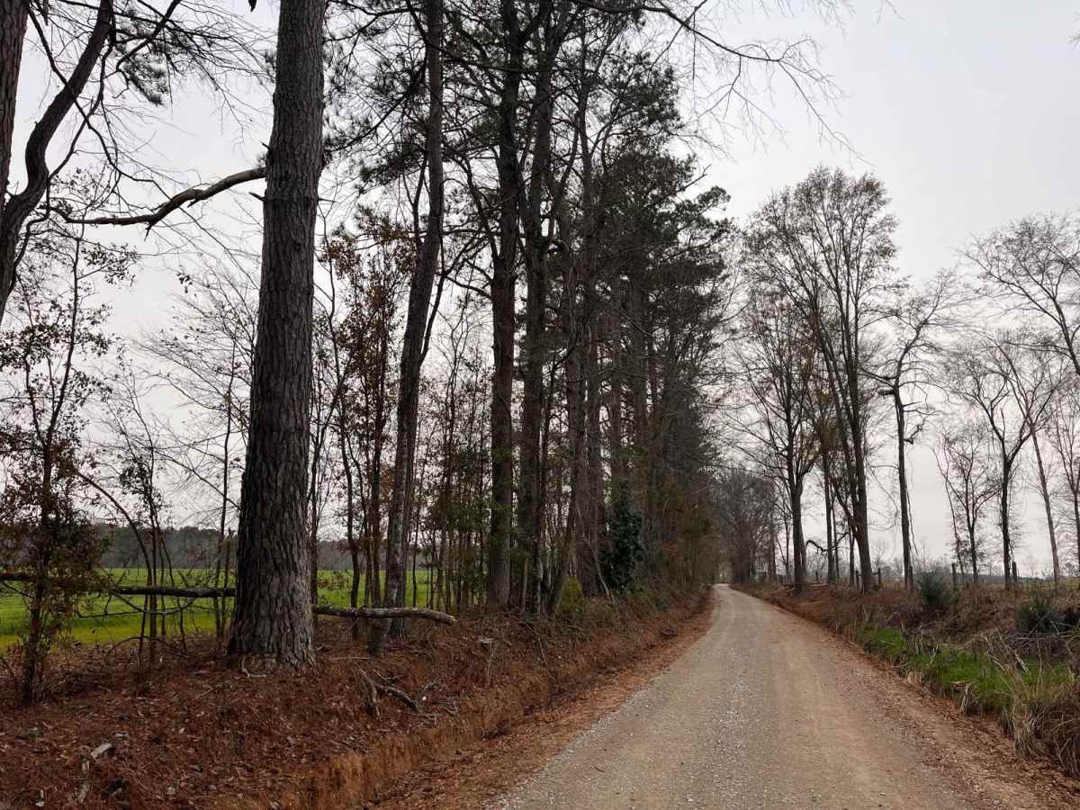 Richland Creek Road photo 5