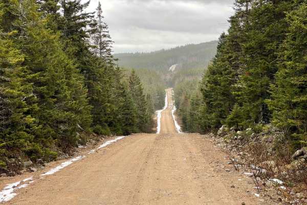 Two Mile Lake Road