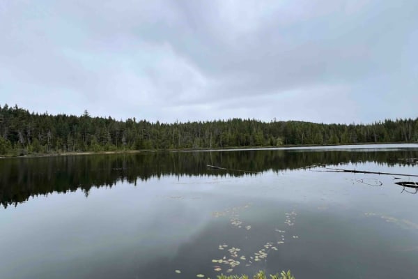 Rhododendron Lake Ecological Site