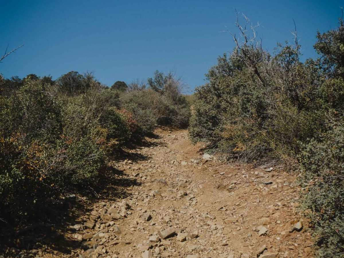 Seven Mile Gulch photo 5