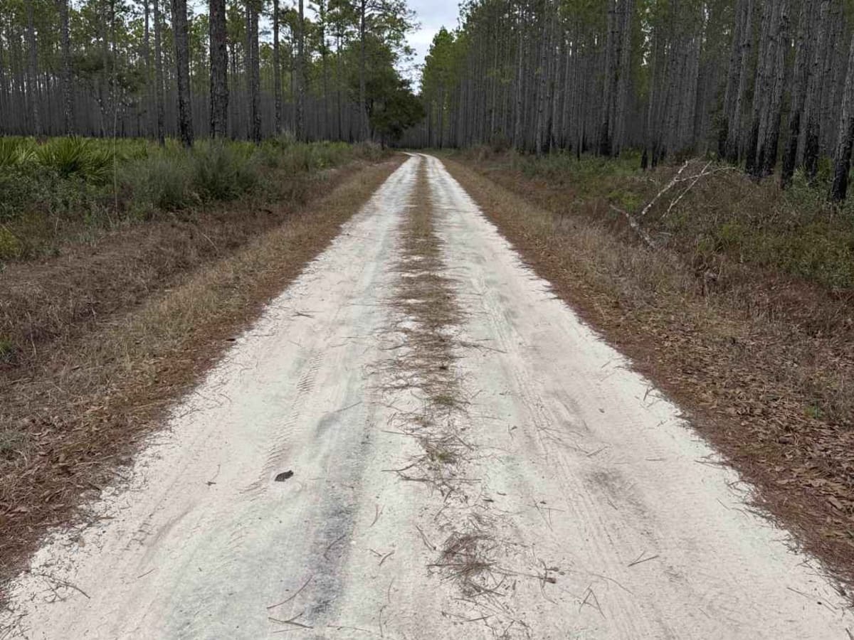McIntyre Road photo 5