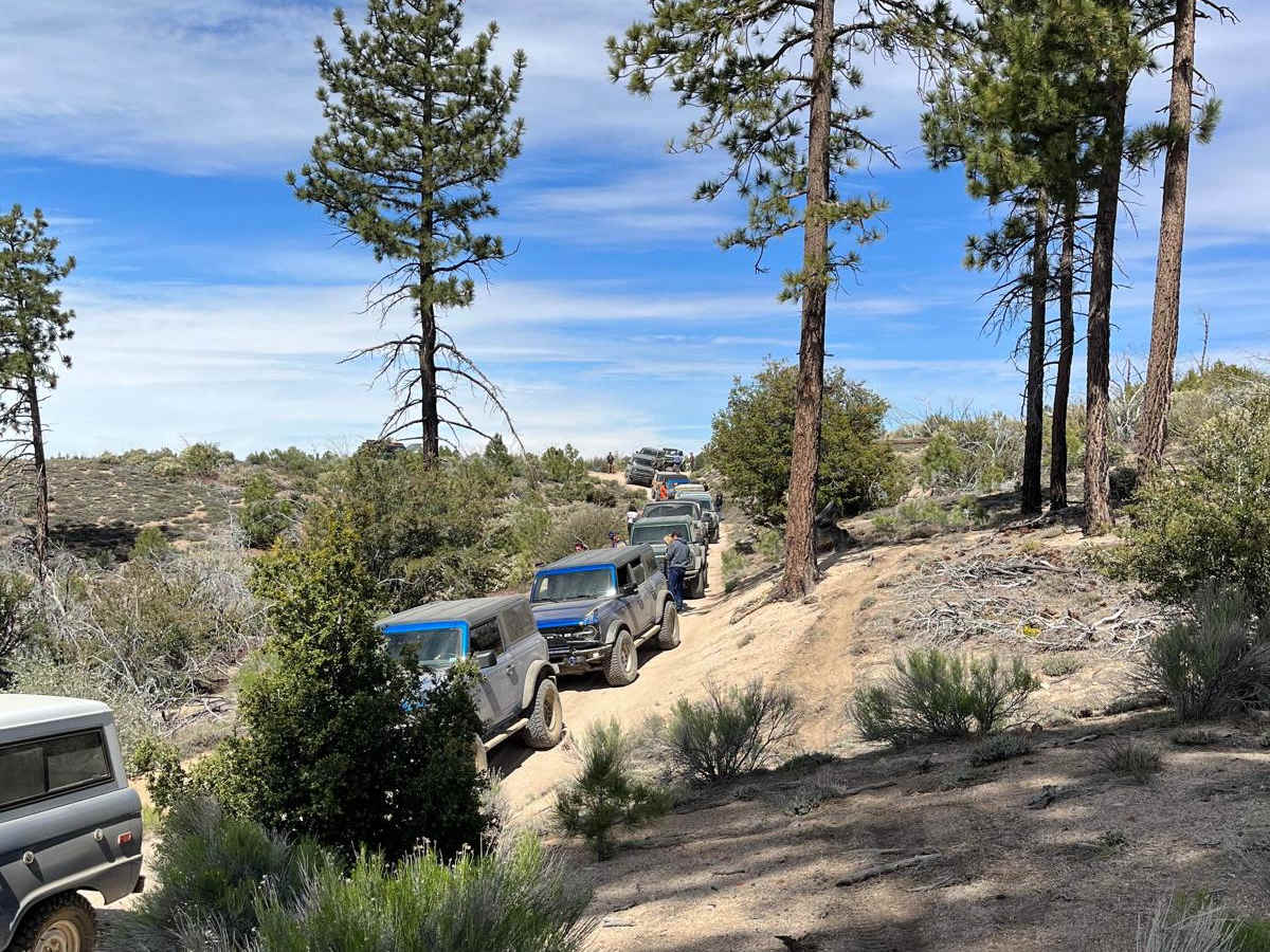 Upper Holcomb Creek Road - 3N08 photo 4