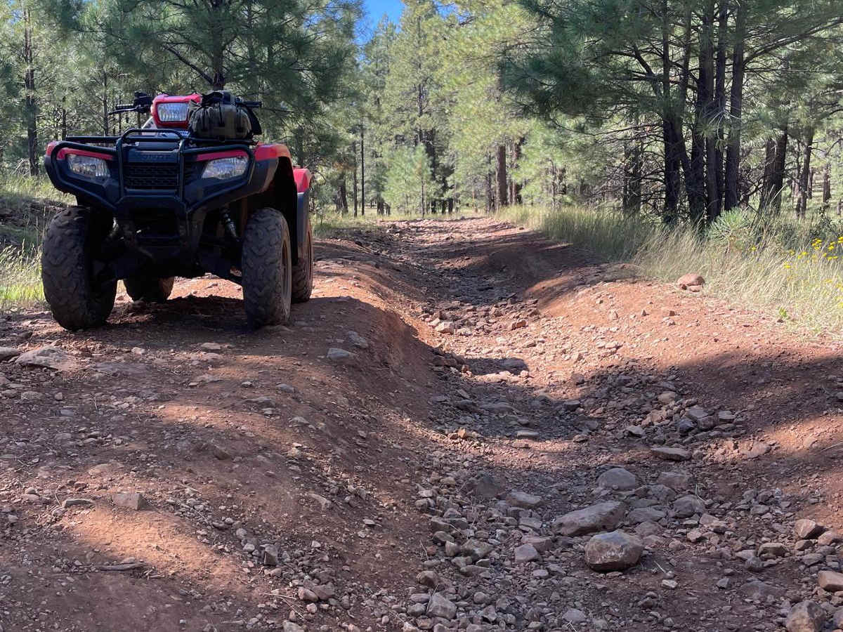 FS 80, 239, & 765 trail photo