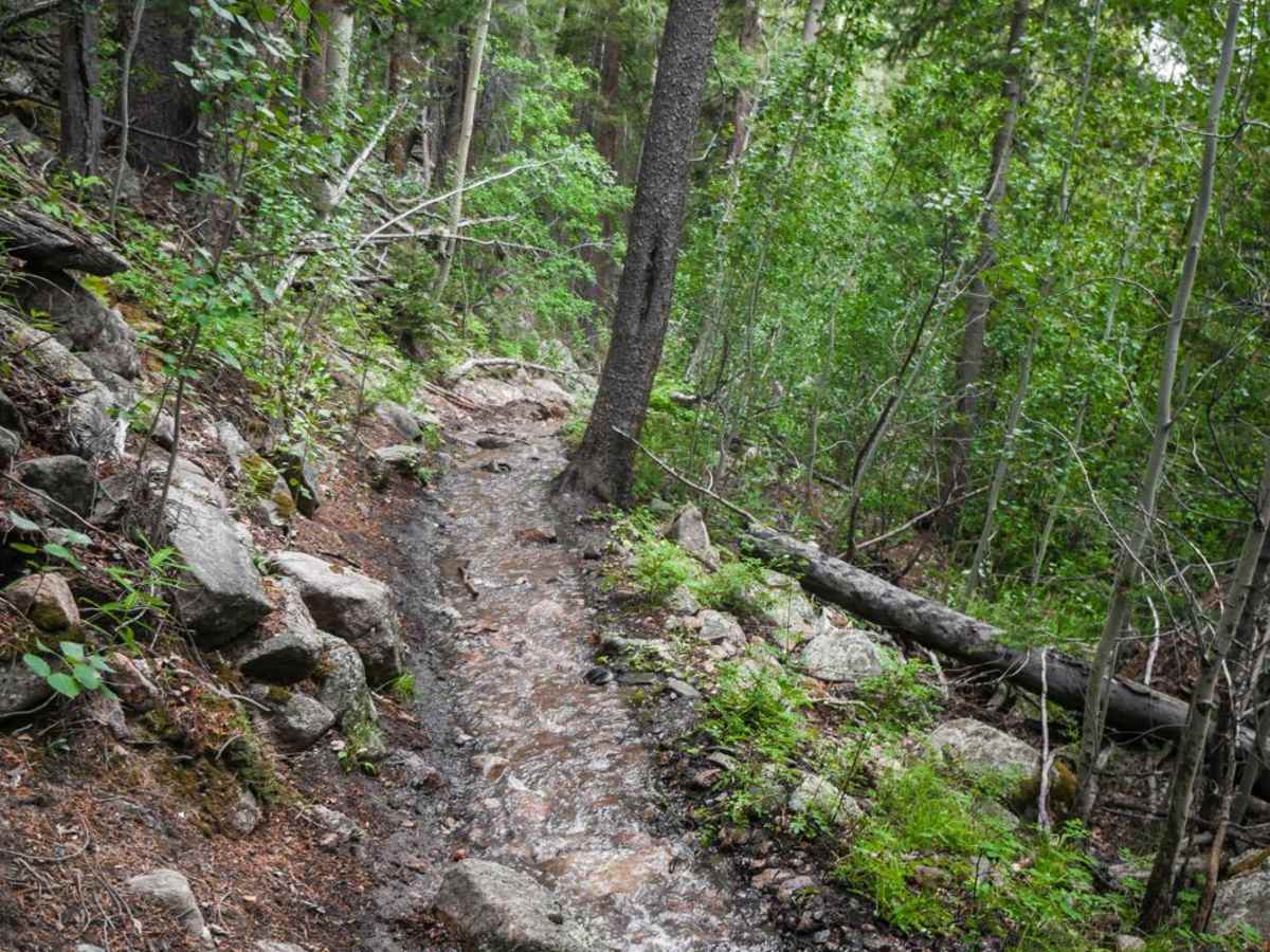 Agate Creek photo 4