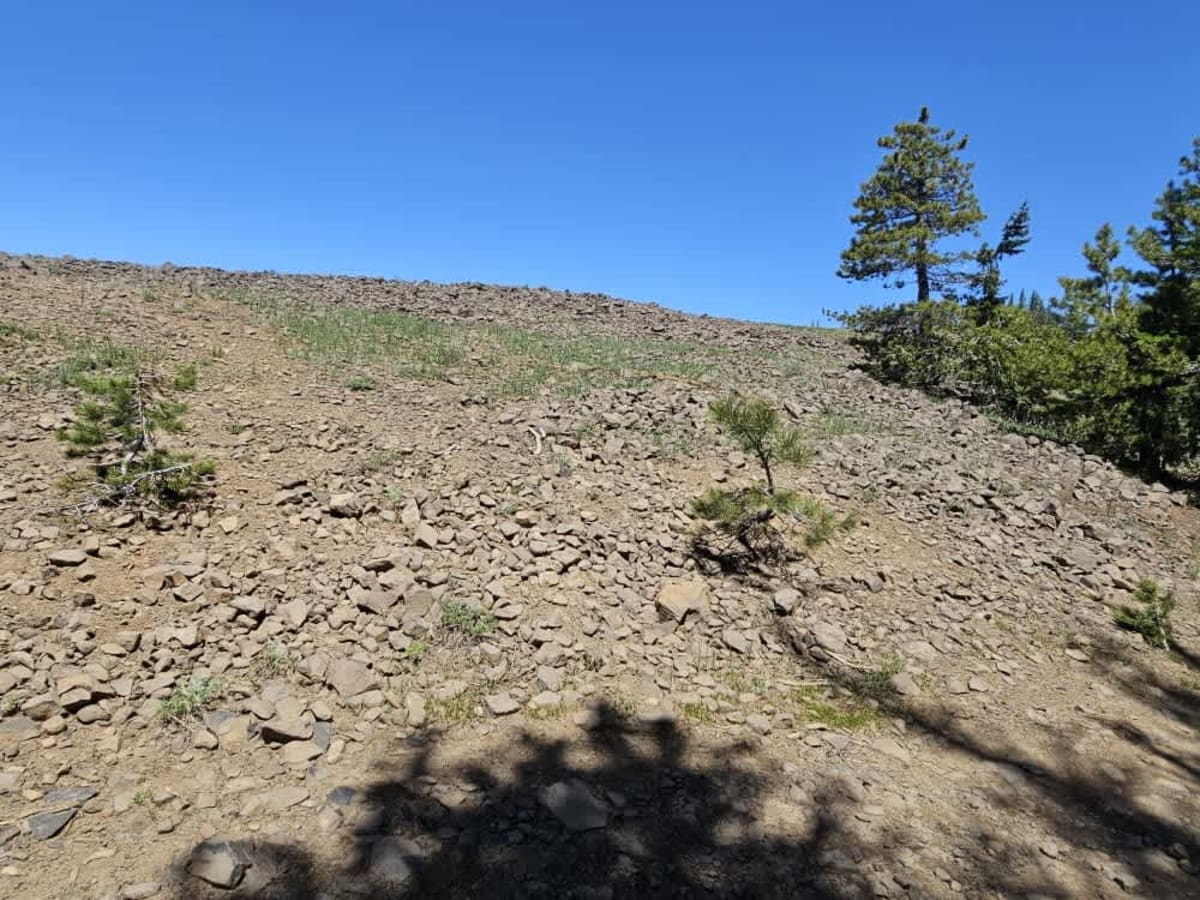 East Fork Road photo 5