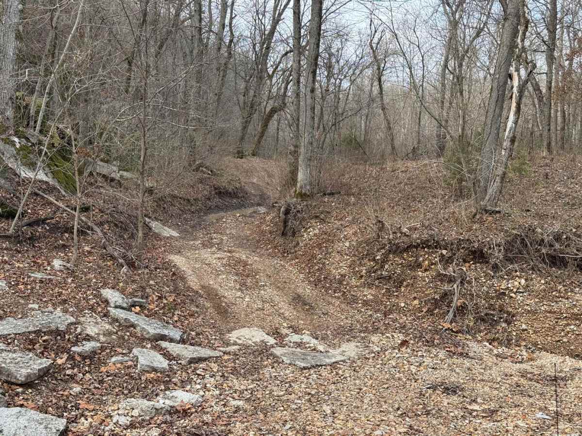 Green 341 trail photo