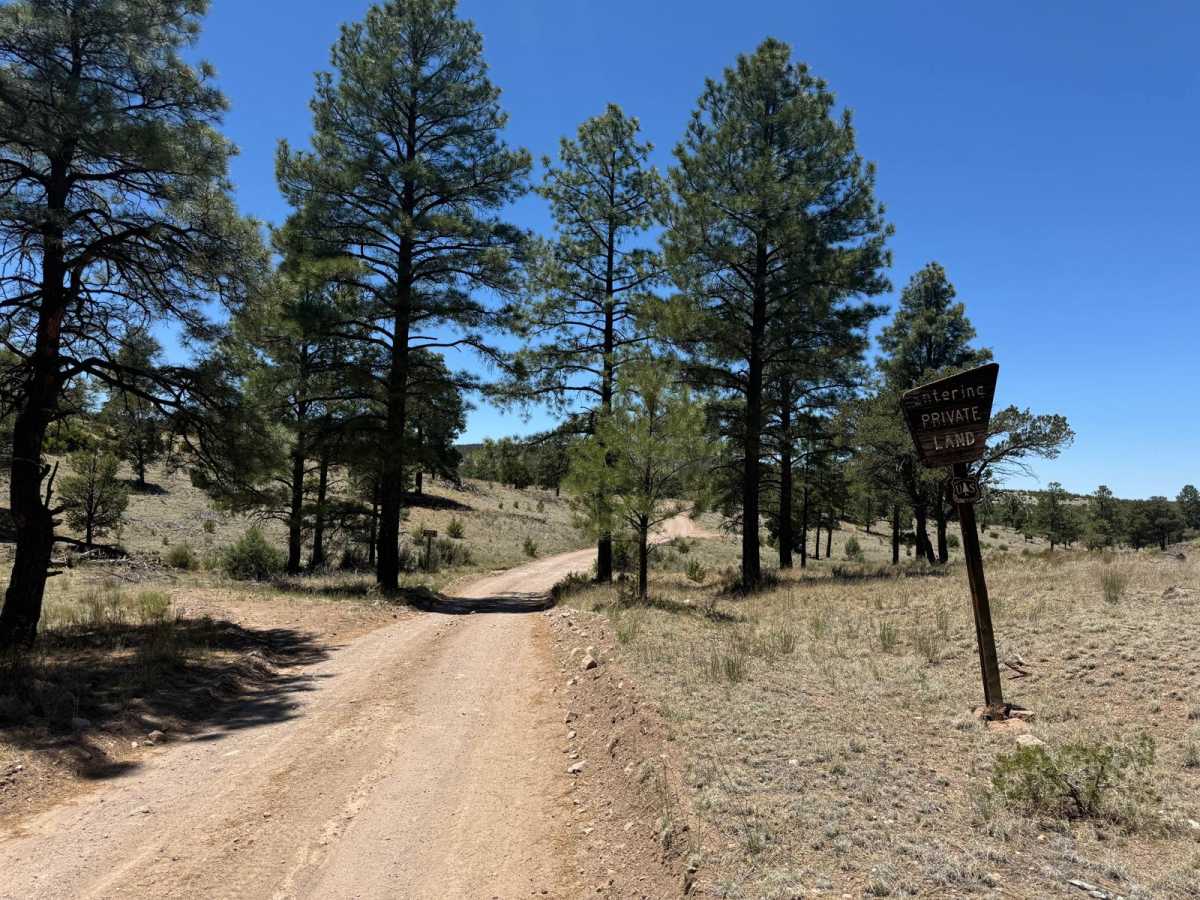 Old Canyon FR 220 photo 2