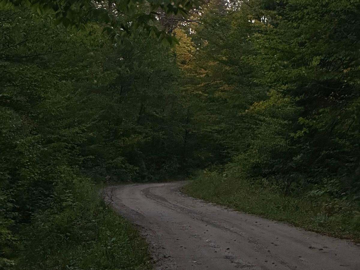 FS 2000 photo 4