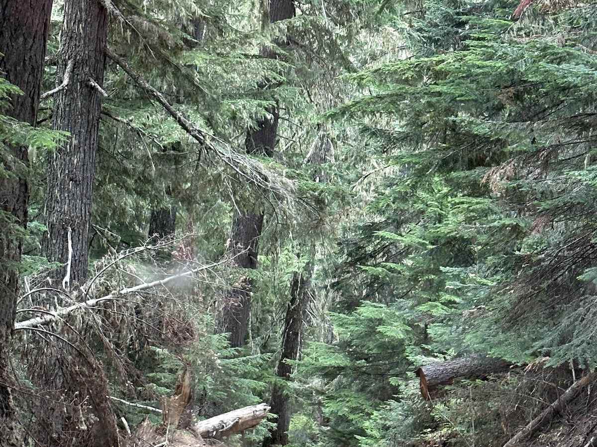 Naches 4X4 Trail photo 4
