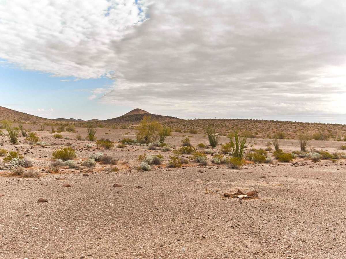 Golden Harp Mine photo 3
