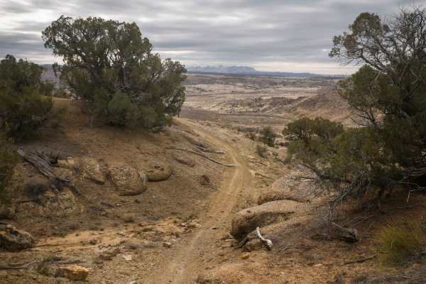Westwater Mesa Loop Trail
