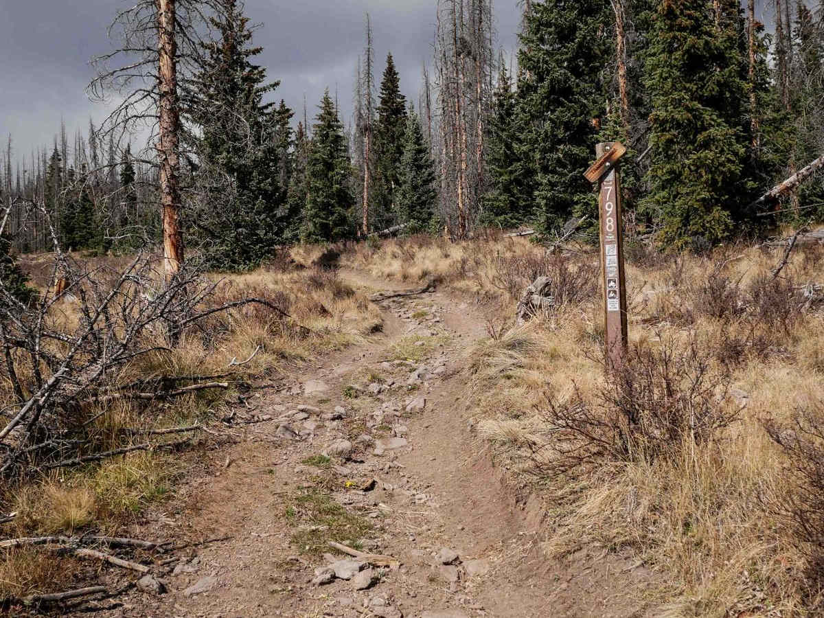West Alder ATV 798  photo 4