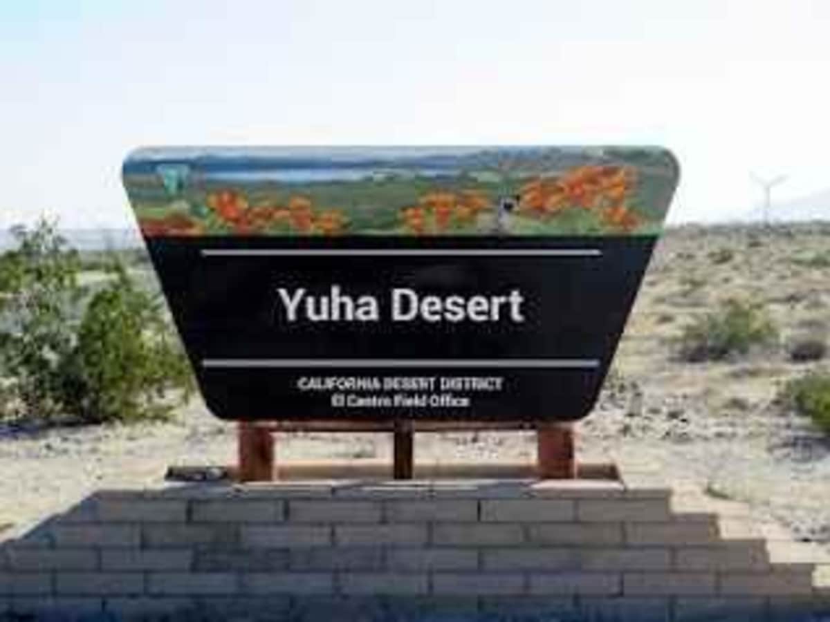 EC 285 Yuha Desert photo 2