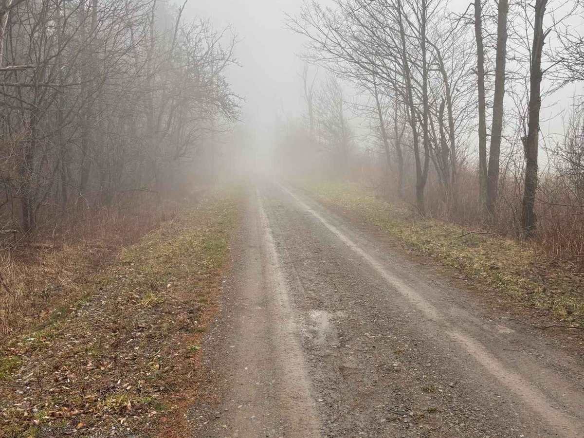 Northrup Hill Road photo 3