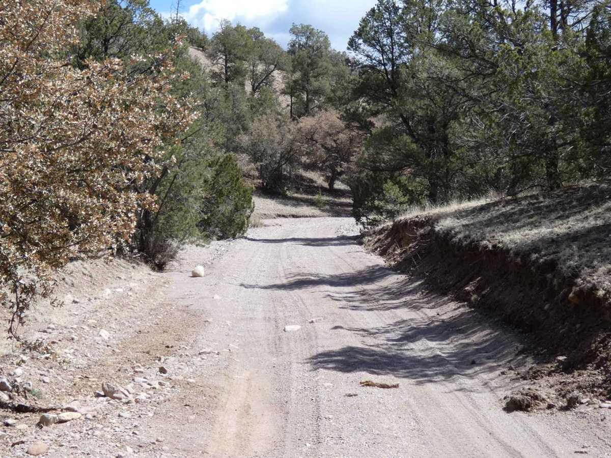 5 Canyon Pass photo 5