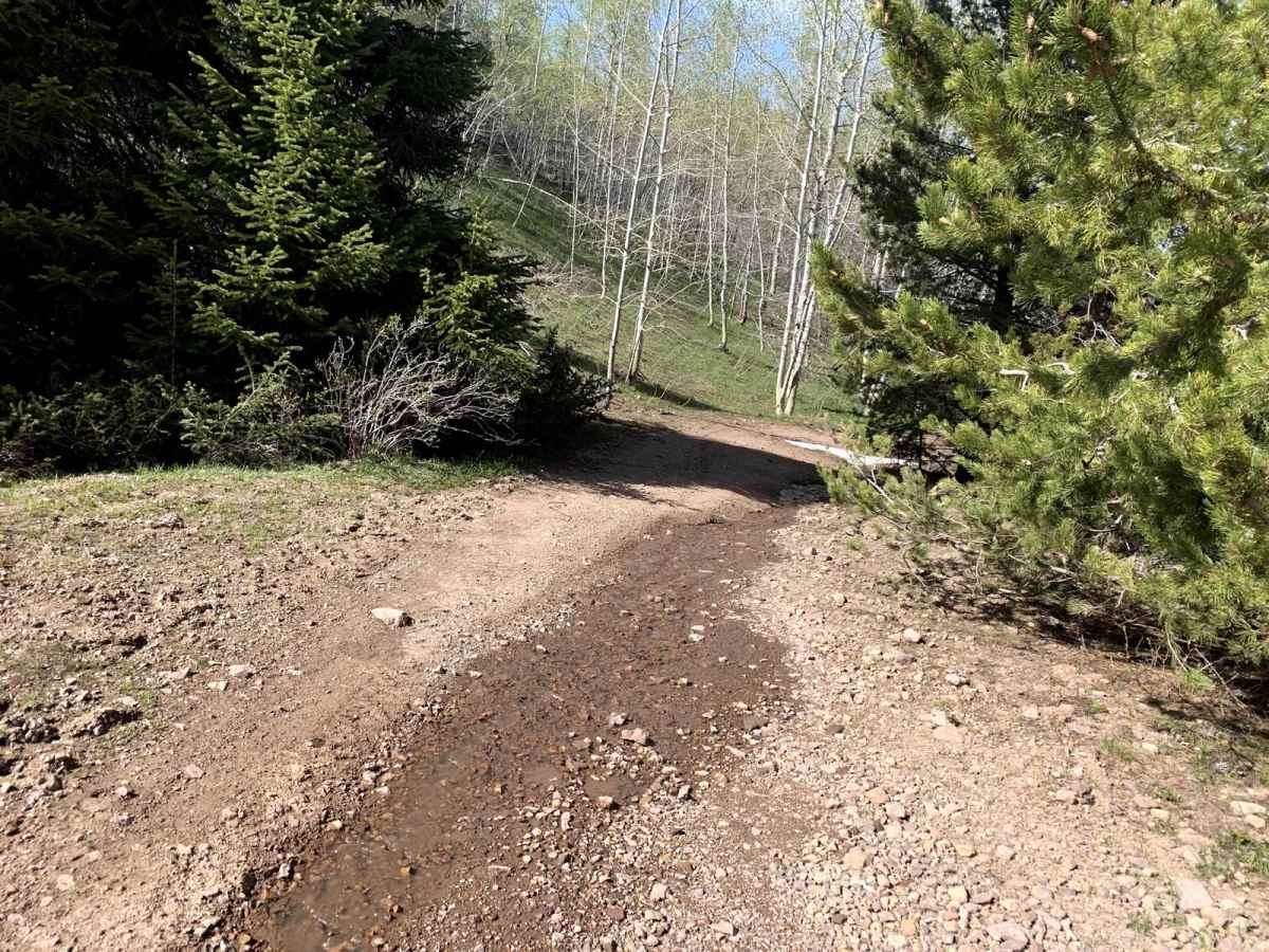 Wahlstrom Fork trail photo