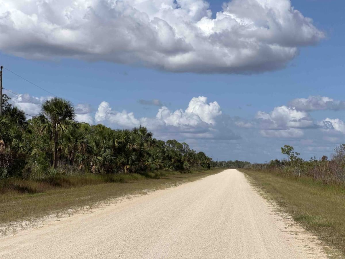 Birdon Road - CR 841 photo 2