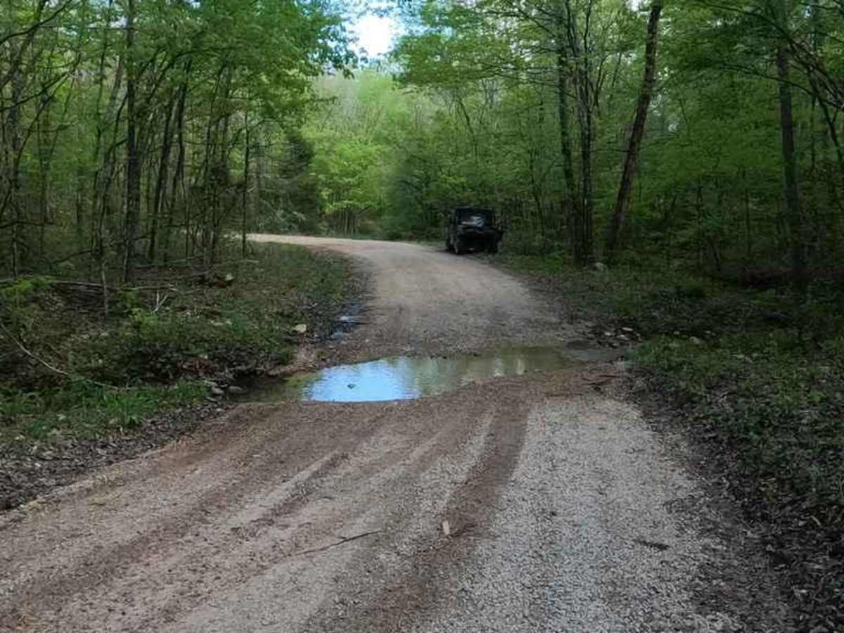 Nine Mile (Marsh Creek FSR 2120) photo 4