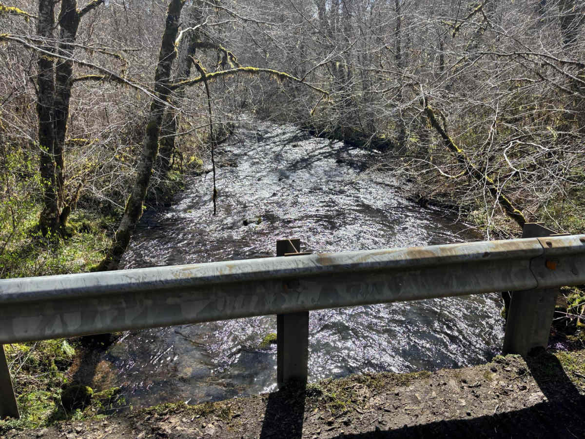 Agency Creek Road photo 2