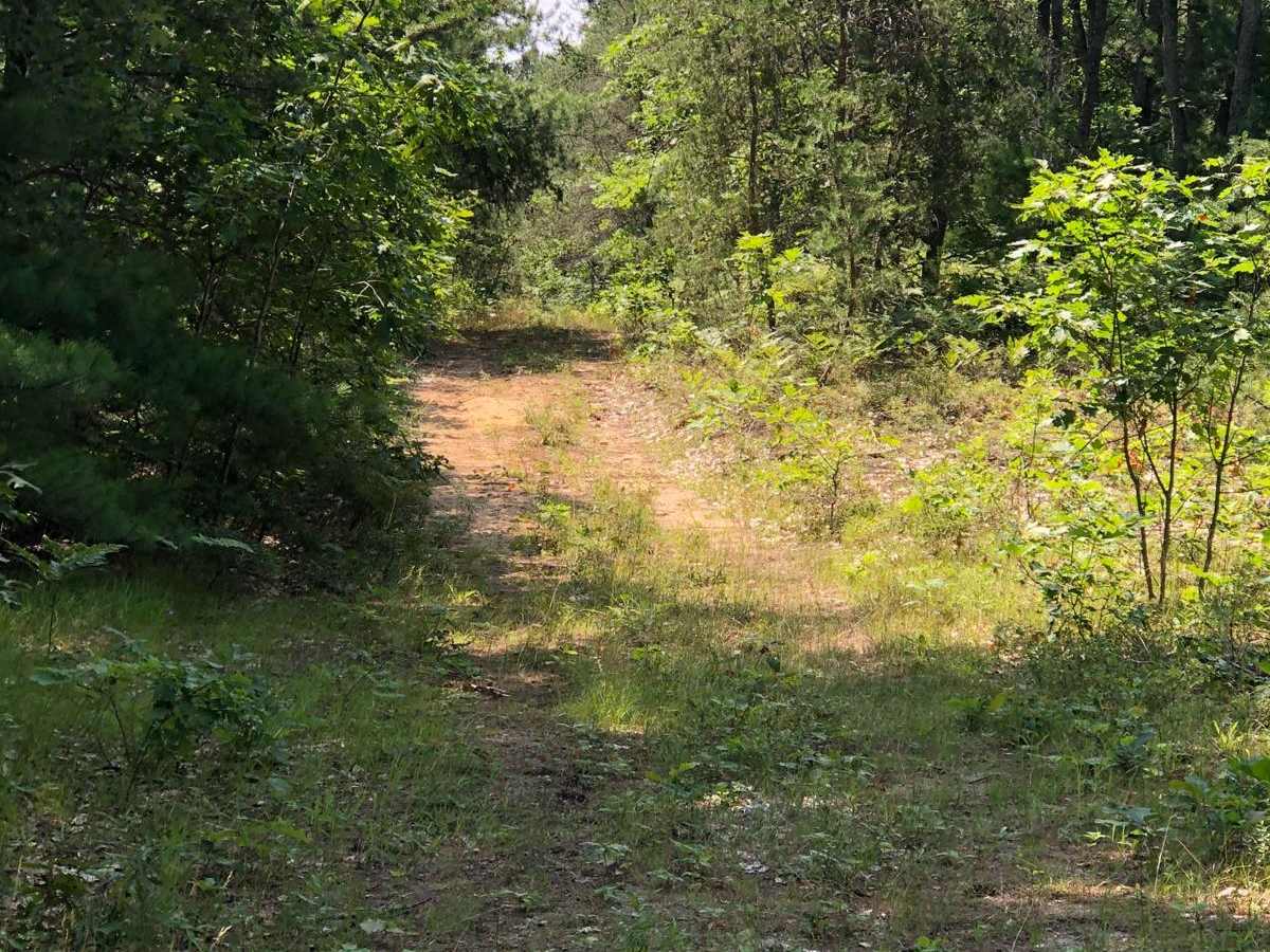 Badger Trail trail photo