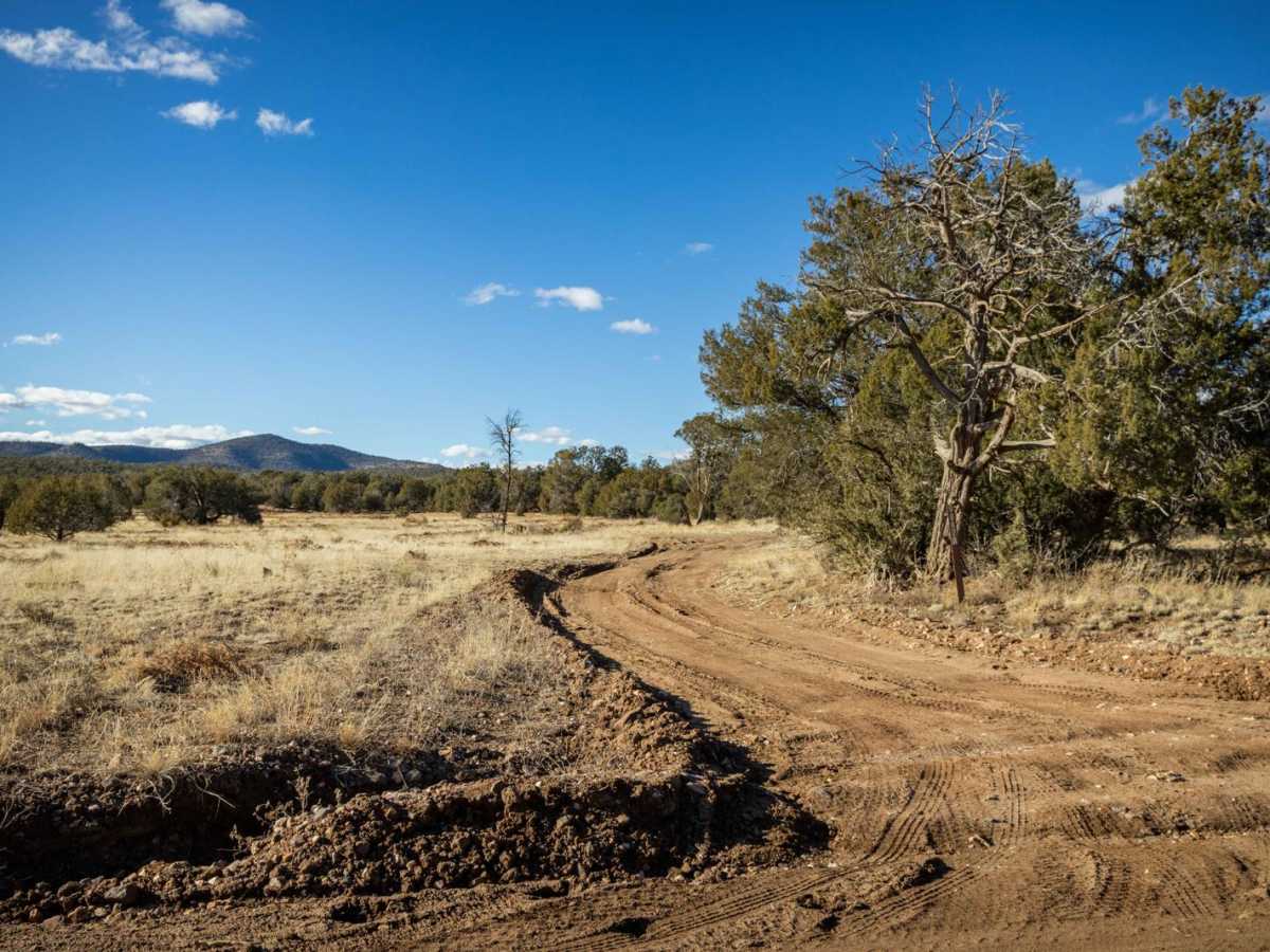 Juniper Spring trail photo