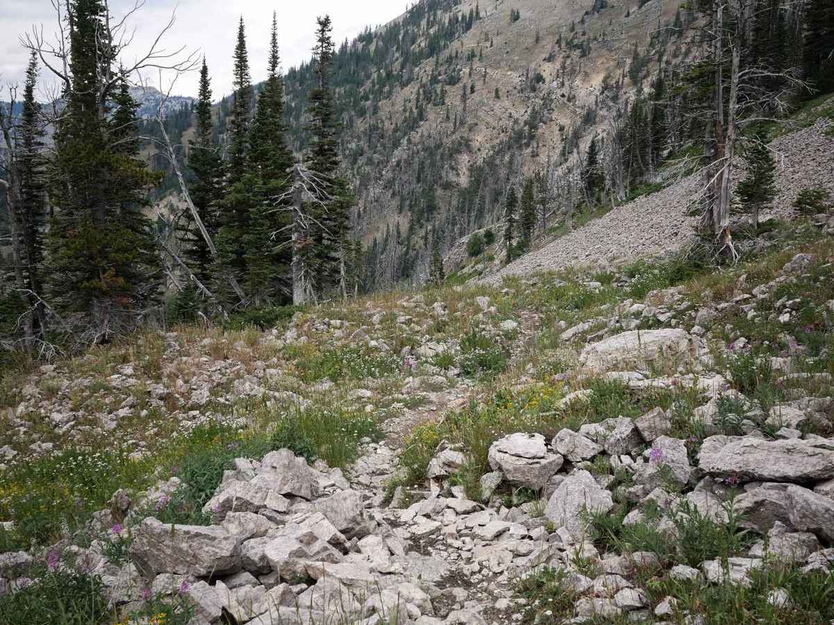 Bridger Foothills photo 4