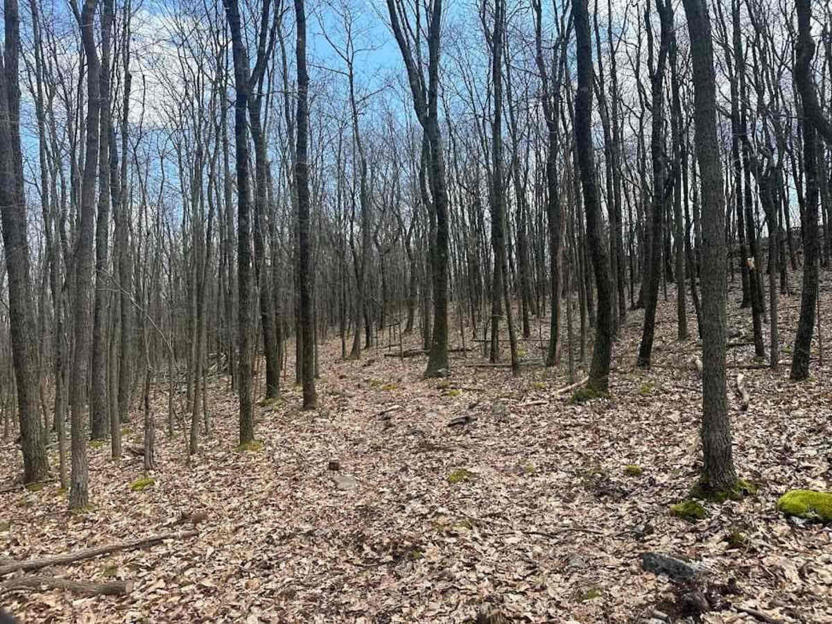 Ashland 179 photo 5