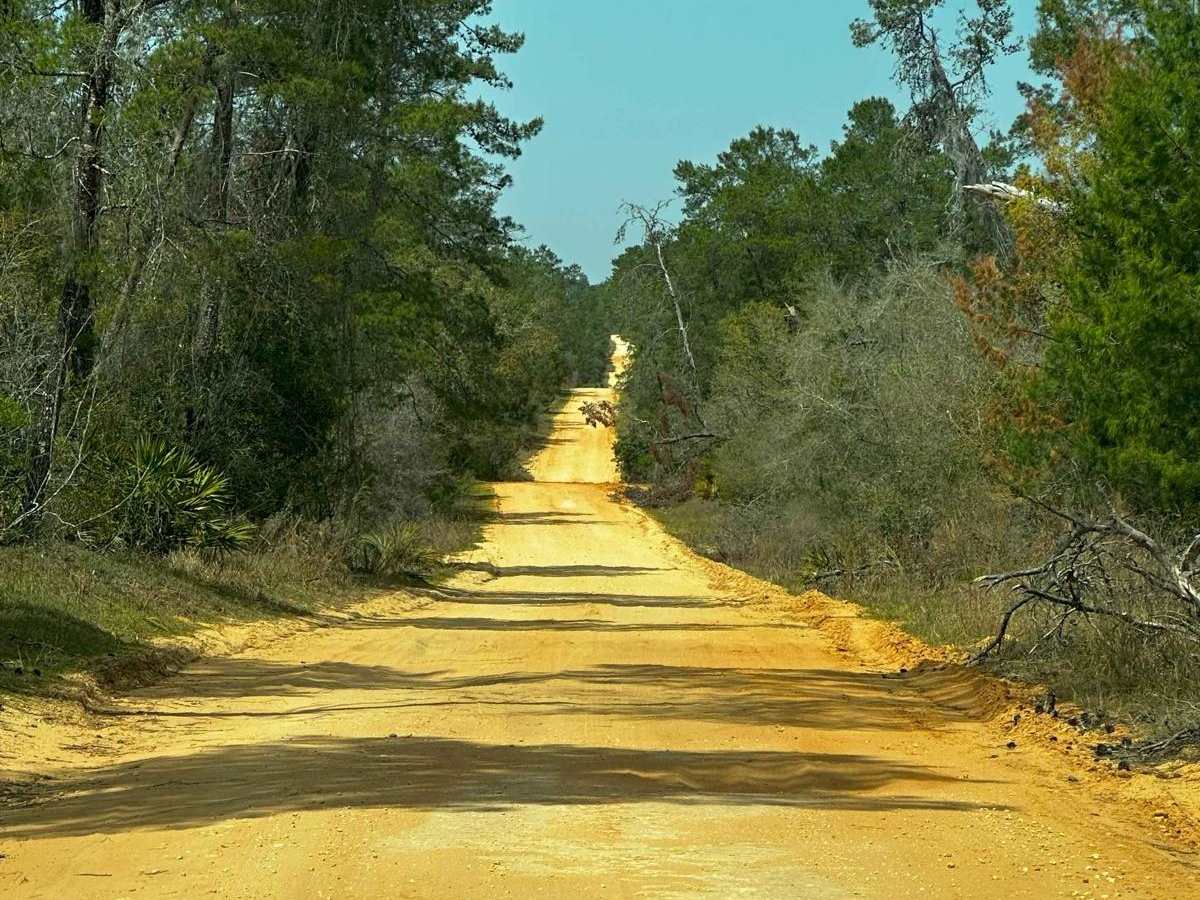Lake Eaton - ONF-5 photo 2