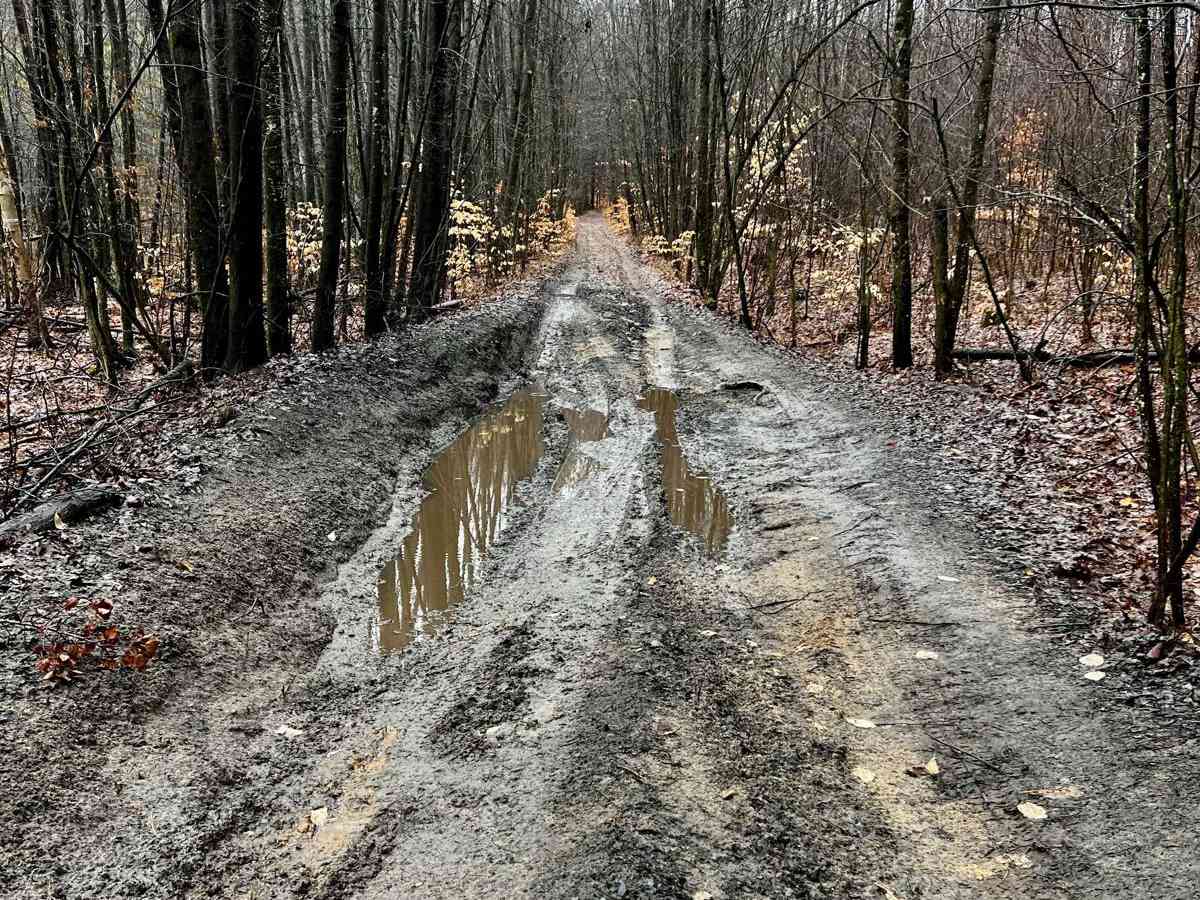 Mena Creek Trail (NFS 9573) photo 4