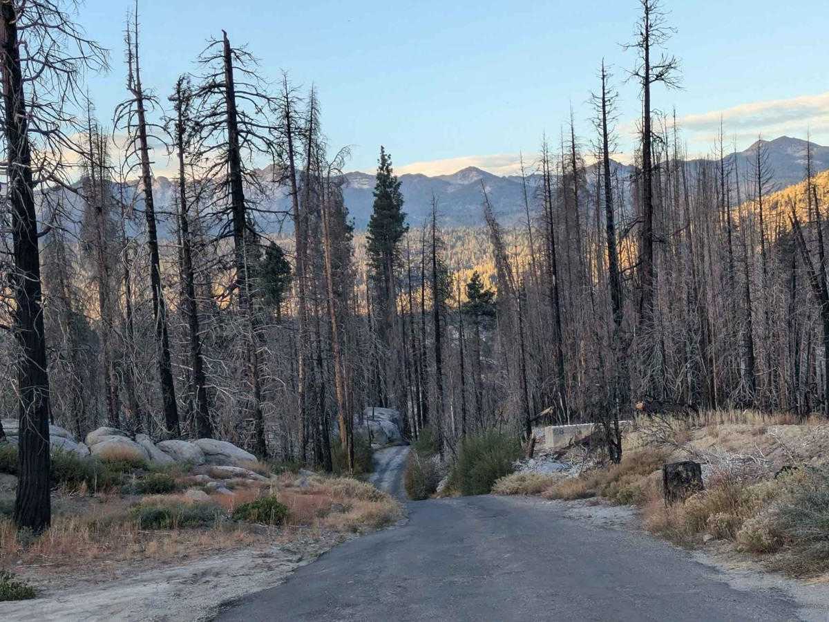 Edison Lake Road/Kaiser Pass North photo 3