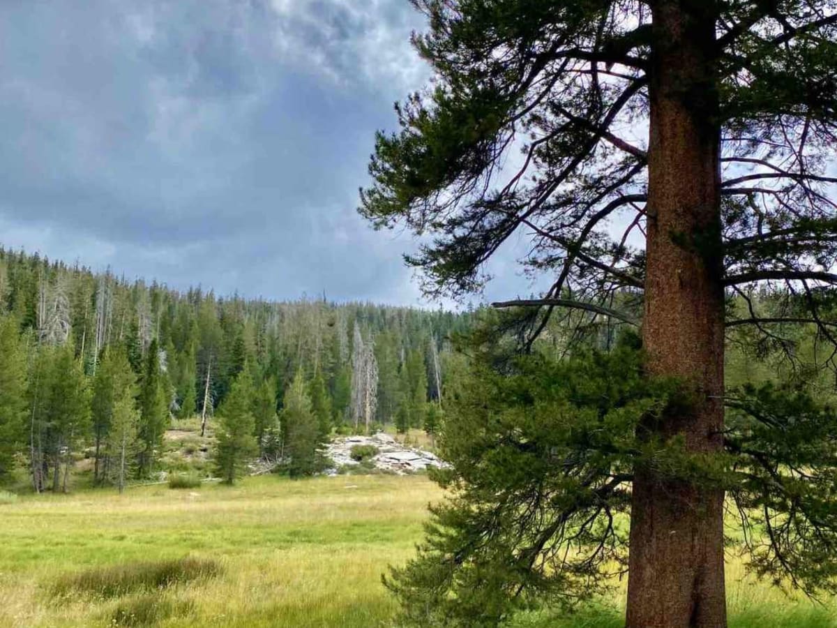 Trout Creek Trail photo 6