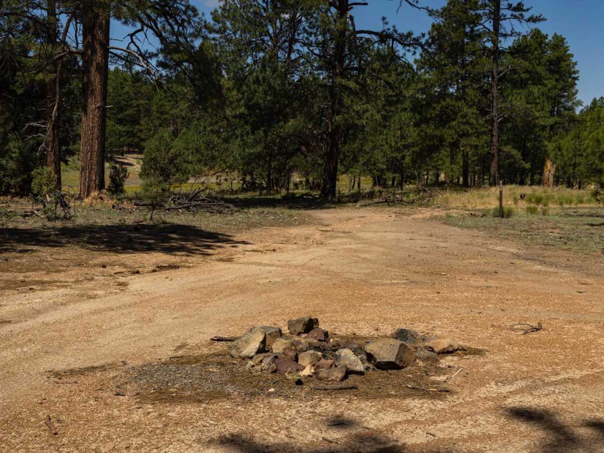 74B Connector trail photo