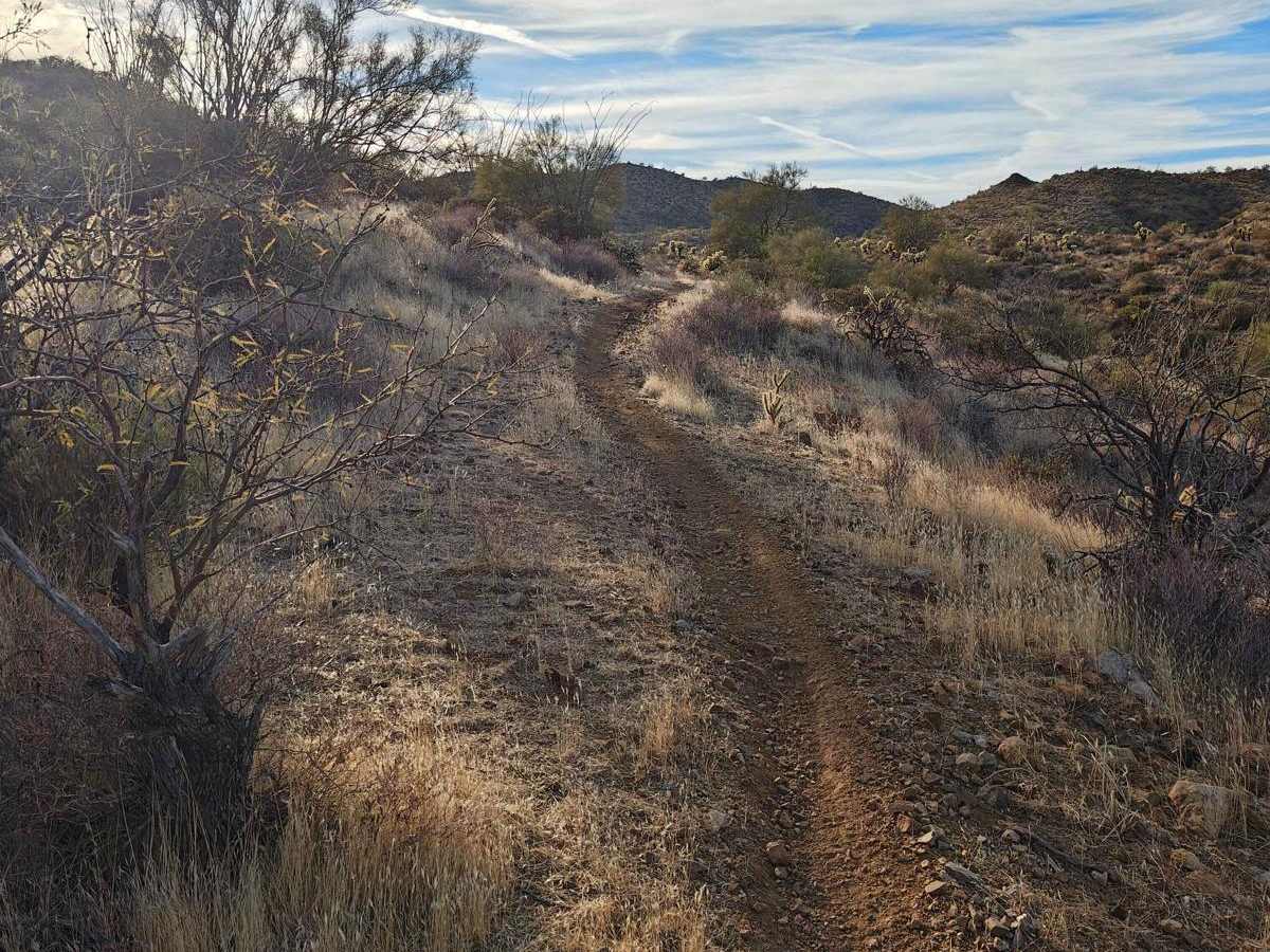 Wash Alternate - Single Track photo 4